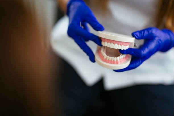 Best Traditional Braces  in Platteville, CO